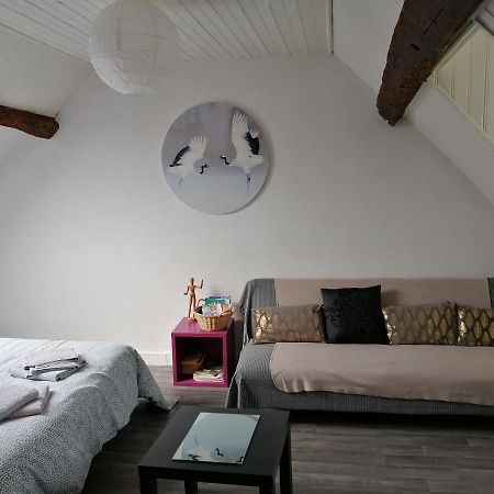 Appartement Spacieux Vue Sur Loire Proche Du Centre 블루아 외부 사진