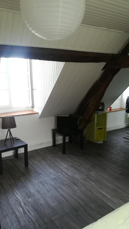 Appartement Spacieux Vue Sur Loire Proche Du Centre 블루아 외부 사진