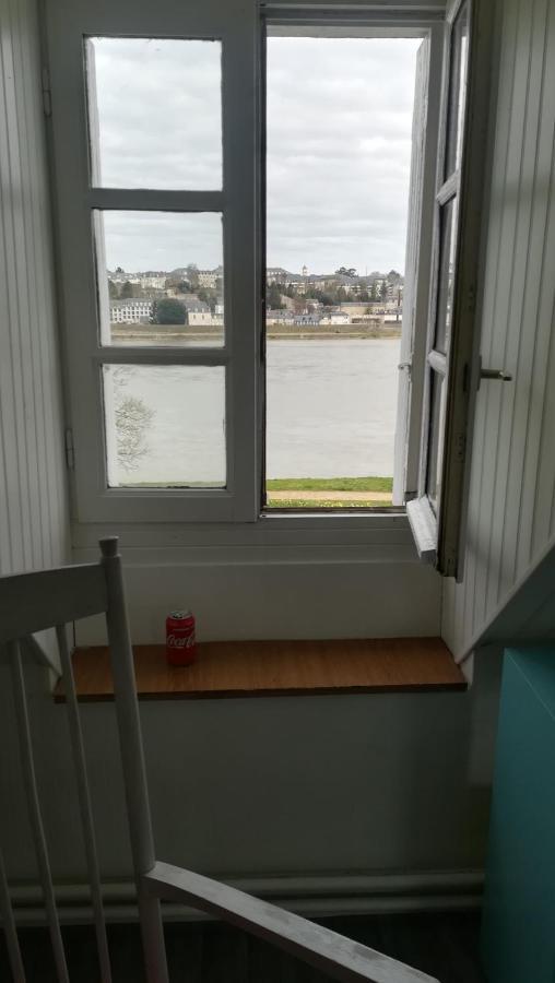 Appartement Spacieux Vue Sur Loire Proche Du Centre 블루아 외부 사진