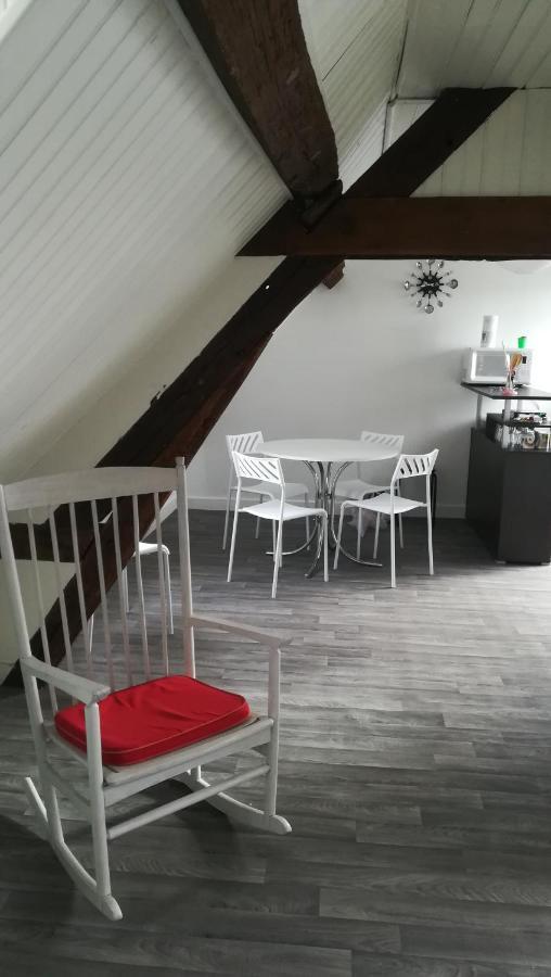 Appartement Spacieux Vue Sur Loire Proche Du Centre 블루아 외부 사진