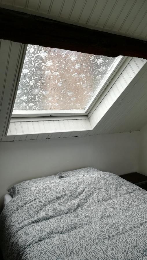 Appartement Spacieux Vue Sur Loire Proche Du Centre 블루아 외부 사진