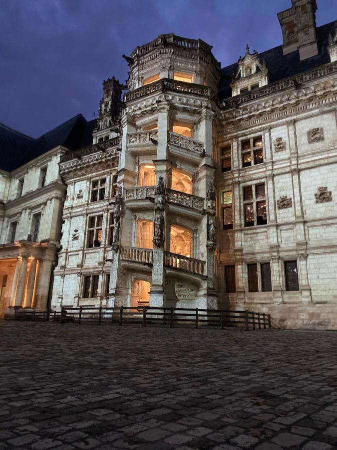 Appartement Spacieux Vue Sur Loire Proche Du Centre 블루아 외부 사진