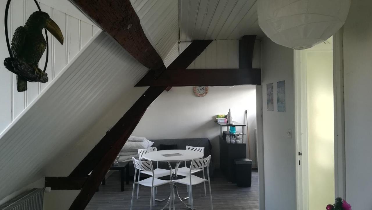 Appartement Spacieux Vue Sur Loire Proche Du Centre 블루아 외부 사진