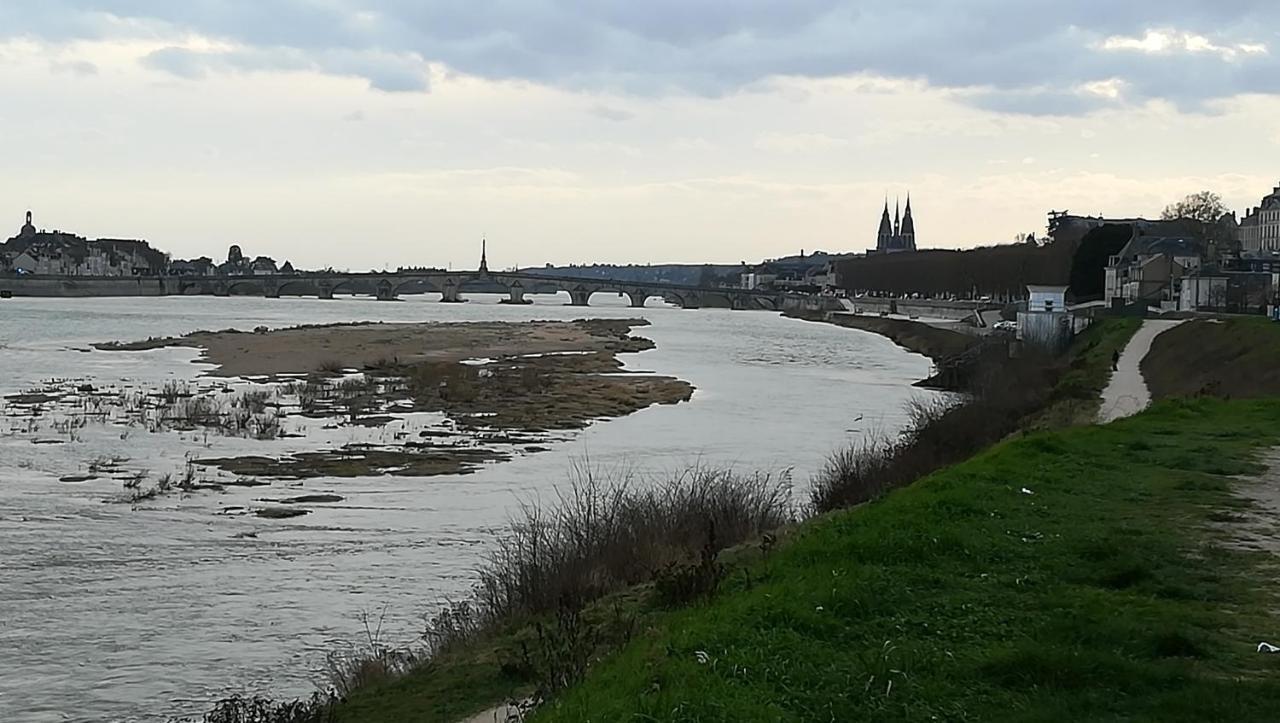 Appartement Spacieux Vue Sur Loire Proche Du Centre 블루아 외부 사진